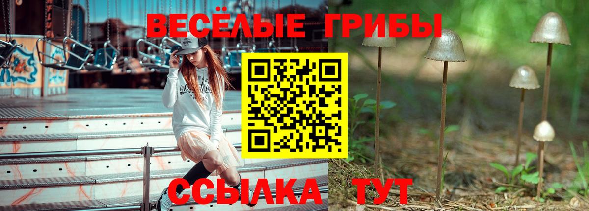 Псилоцибиновые грибы прущие грибы Урай
